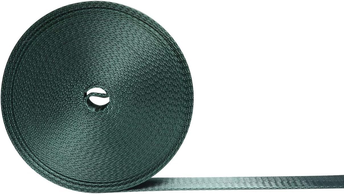 Nylon Webbing Straps, 1 Inch Wide Heavy Duty Nylon Strap, Durable Flat Rope Webbing, 10 and 25 Yard Roll for Backpack Strapping, Tie-Down, Dog Leash, 18 Vibrant Colors (Forest Green, 10 Yard)