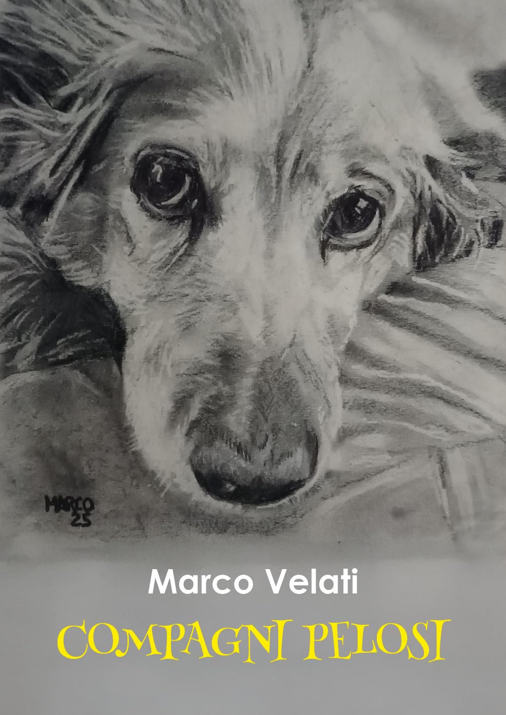 Compagni Pelosi