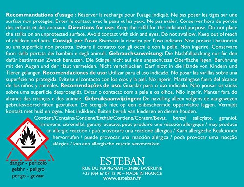 Esteban Paris - Bouquet Profumato Decorativo FIORE...