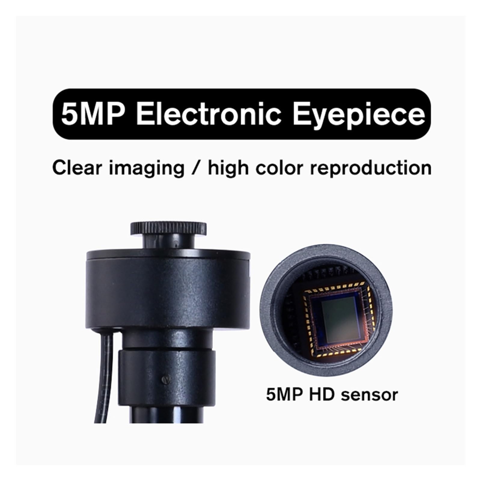 Microscopio Binocular HD biológico de Laboratorio con Zoom de 2000X y Ocular Digital electrónico de 5 MP con USB, fácil de Usar.，7 Inch Screen