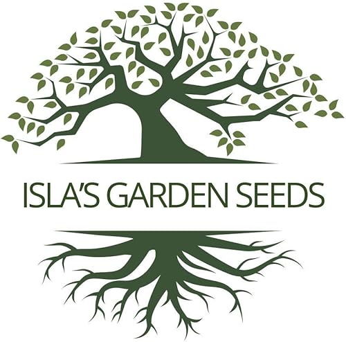 Miniatura 4 de Amana Semillas de tomate herencia de bistec naranja para plantar, más de 50 semillas tradicionales por paquete, semillas sin OMG, (semillas de