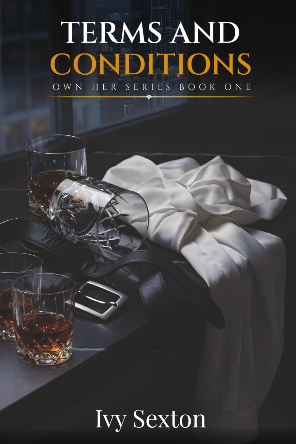 Terms and Conditions: Own Her Series -- Book One