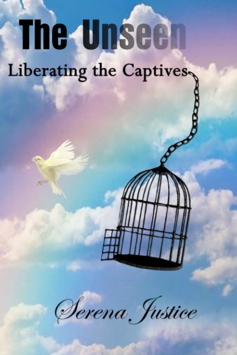 The Unseen Liberating the Captives Justice, Serena 9781948266451
