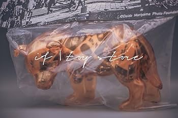 伊勢丹限定　森山大道　三沢の犬フィギュア　secret baseコラボ　黒1体 Amazon.co.jp: 伊勢丹限定 森山大道 × SECRET BASE 三沢の犬