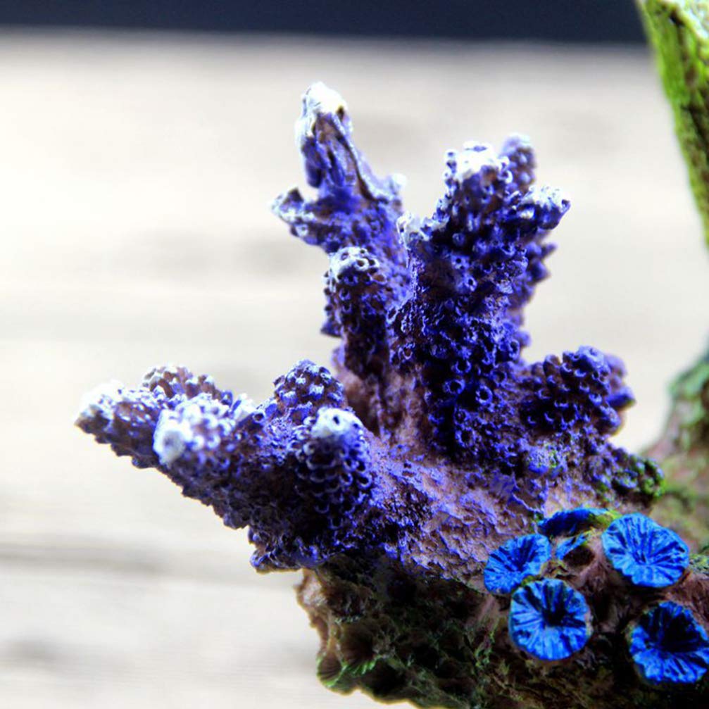 balacoo Decorazione per Acquario: Simulazione Corallo - Sfondo per Acquario - Imitazione Pietra, Resina, Giardino Roccioso Scultura per Acquari