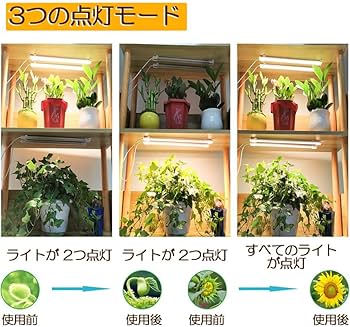 Amazon.co.jp: ANAMI 植物育成ライト LED育成ライト タイマー 観葉植物