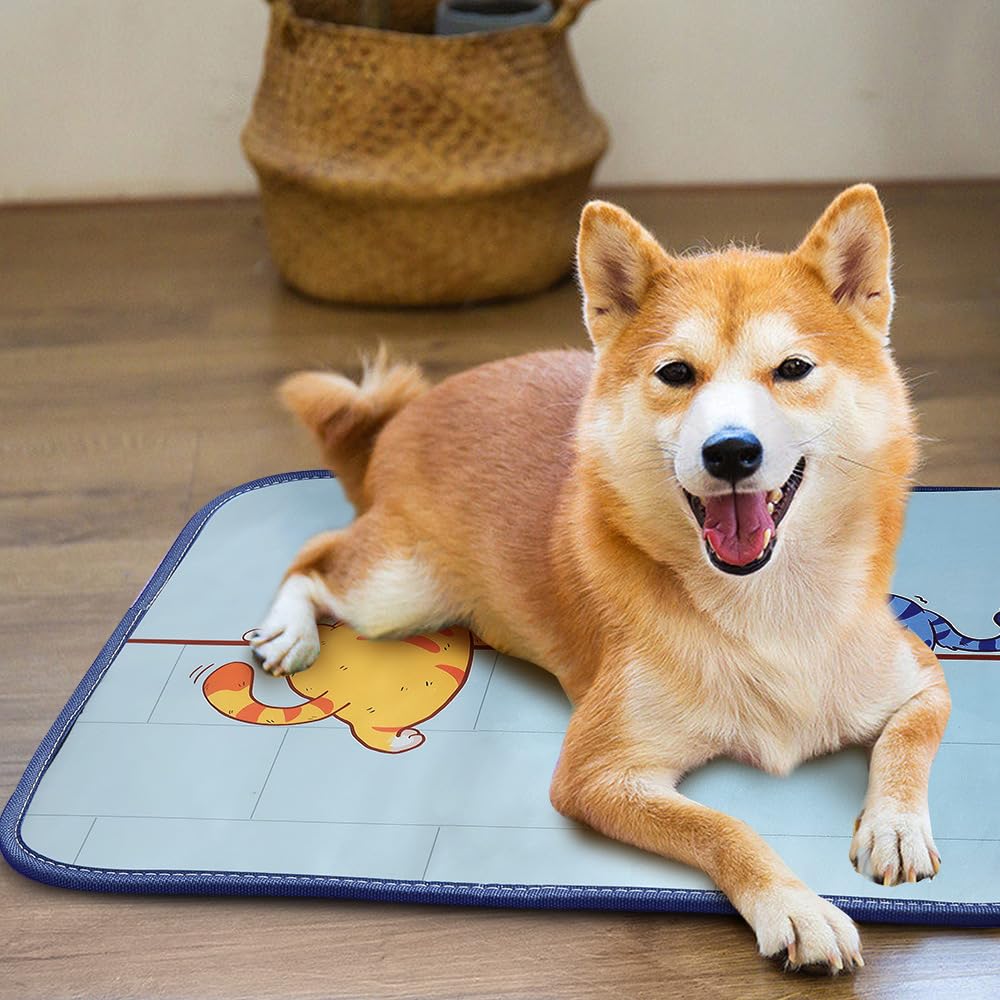 ペット用ヒーター(3個)