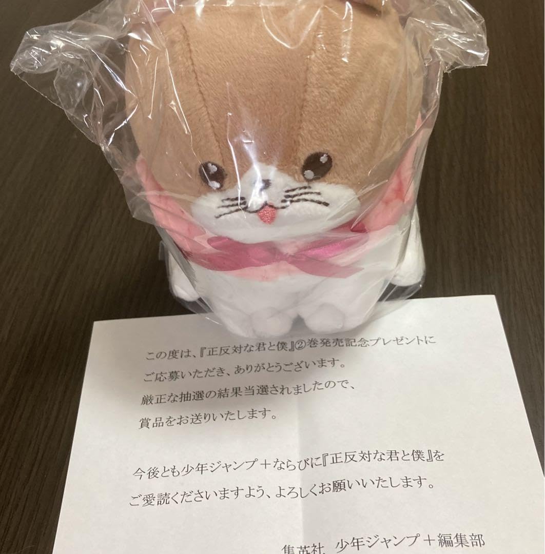 Amazon.co.jp: 正反対な君と僕 ぬいぐるみ てんぷら 100個 : おもちゃ