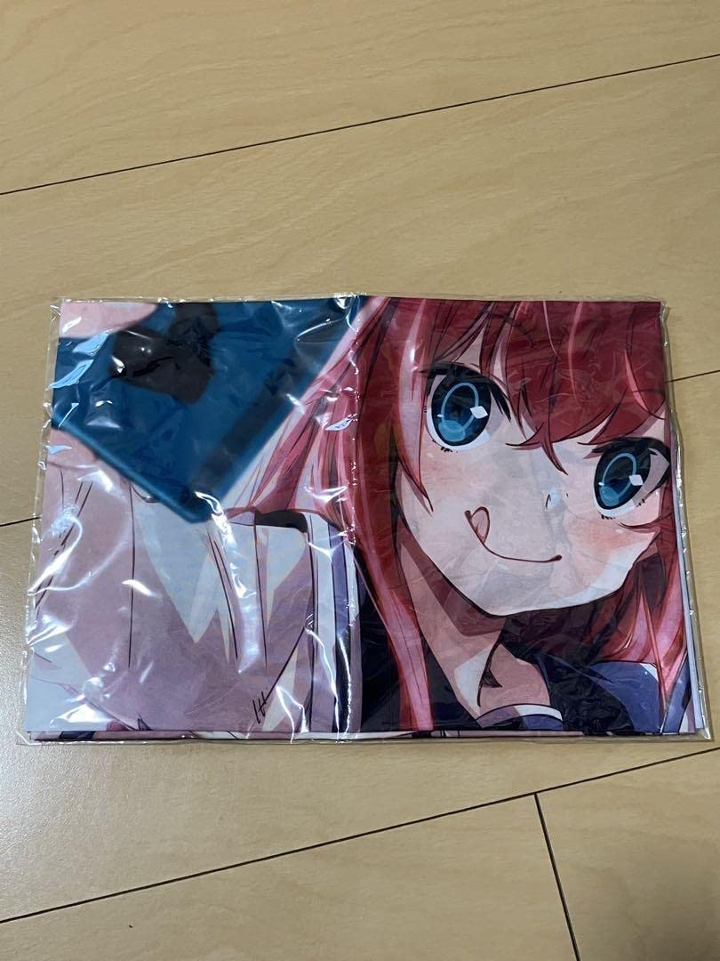 B2布製ポスター ルサルカ＆螢 Dies irae アニメイト全巻購入特典 Amazon.co.jp: Dies irae 櫻井螢 ルサルカ アニメイト全巻購入特典 布