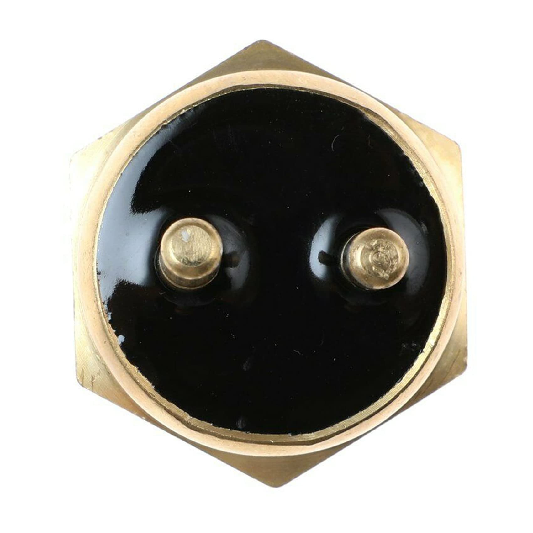 Radiatore Ventola Termo Interruttore Automatico 87°C per VN800 800 1995-2005 -9R ZX9R 1994-2003 1996-2000