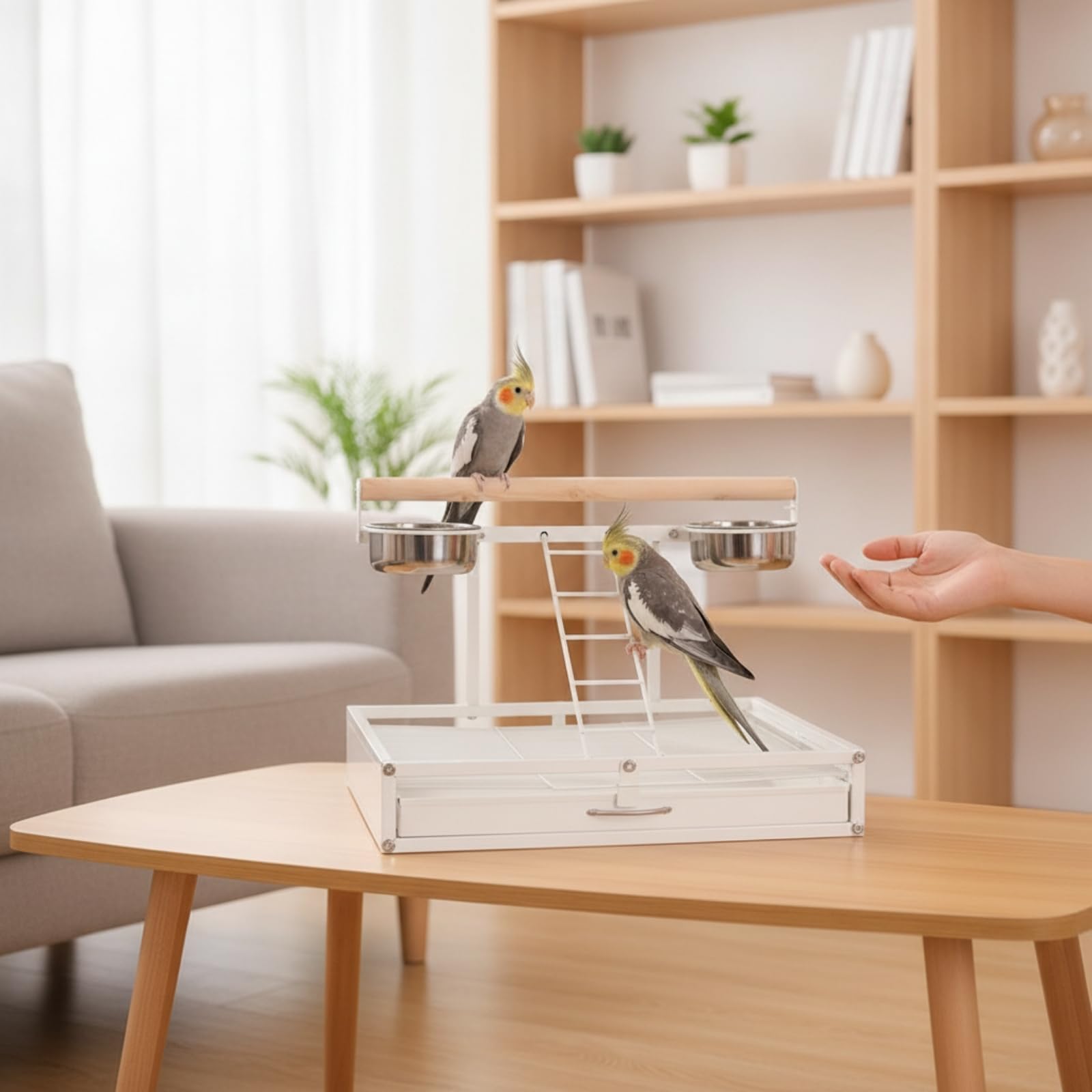 Soporte Seguro Percha Multiusos para Pájaros