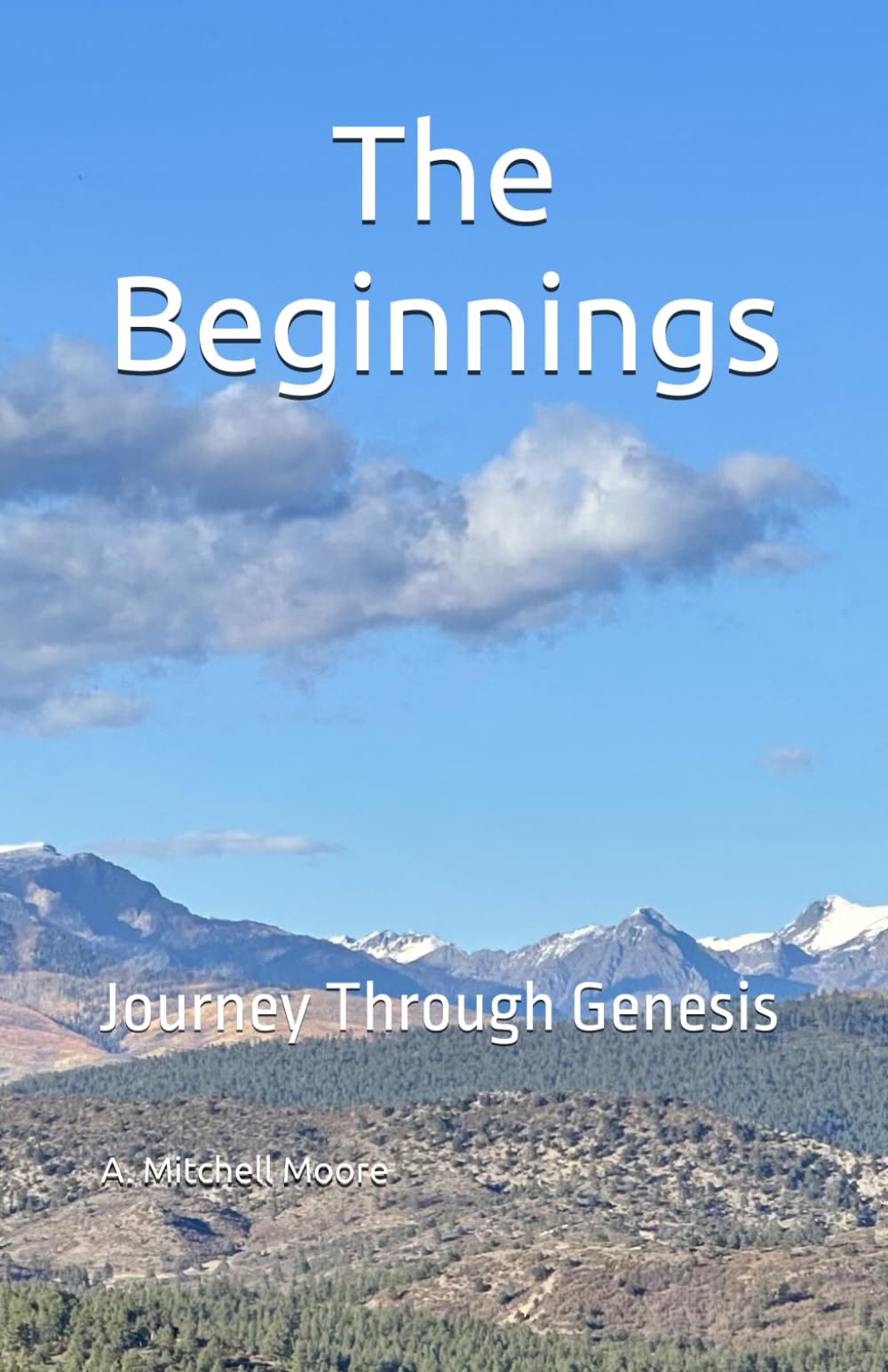 The Beginnings: Journey Through Genesis