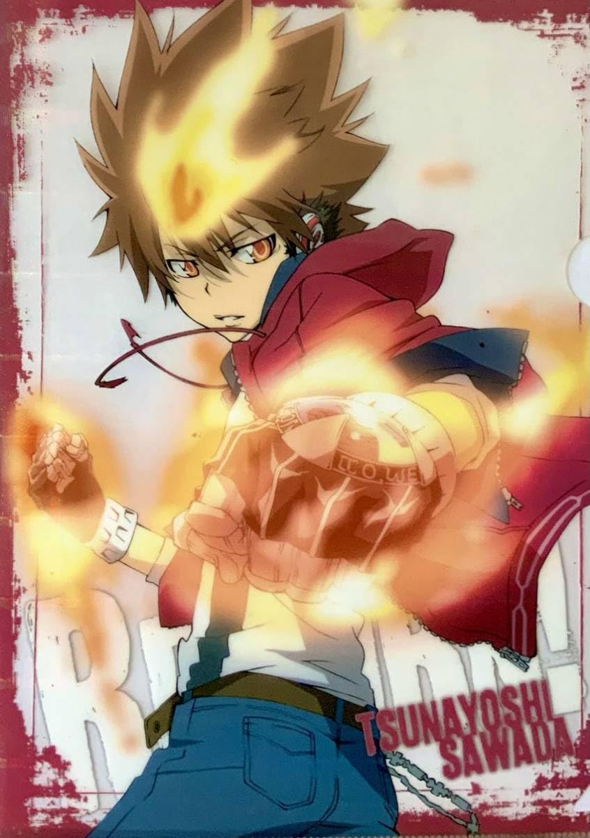 Amazon.co.jp: 家庭教師ヒットマンREBORN 沢田綱吉 クリアファイル