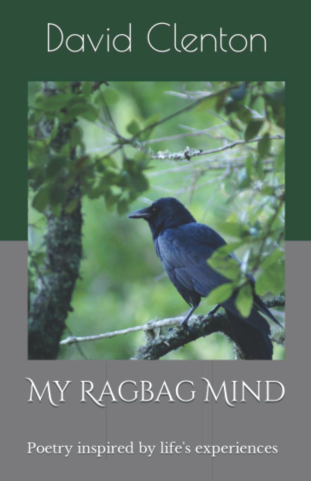 My Ragbag Mind: Poetry inspired by my life's experiences