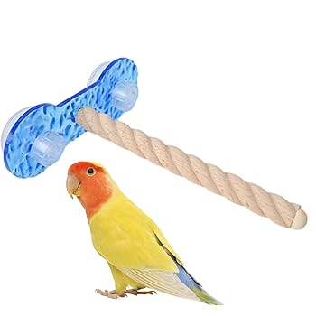 オウムスタンド(コメント用)‼ 61c591wSKgL.jpg_BO30,255,255,