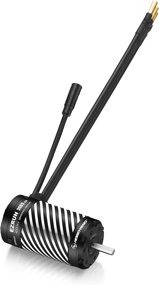 HOBBYWING EZRUN 3665 ブラシレスモーター 2400KV Amazon.com: HOBBYWING EZRUN 3665 SD G3 Motor (EZRUN 3665SD-2400KV