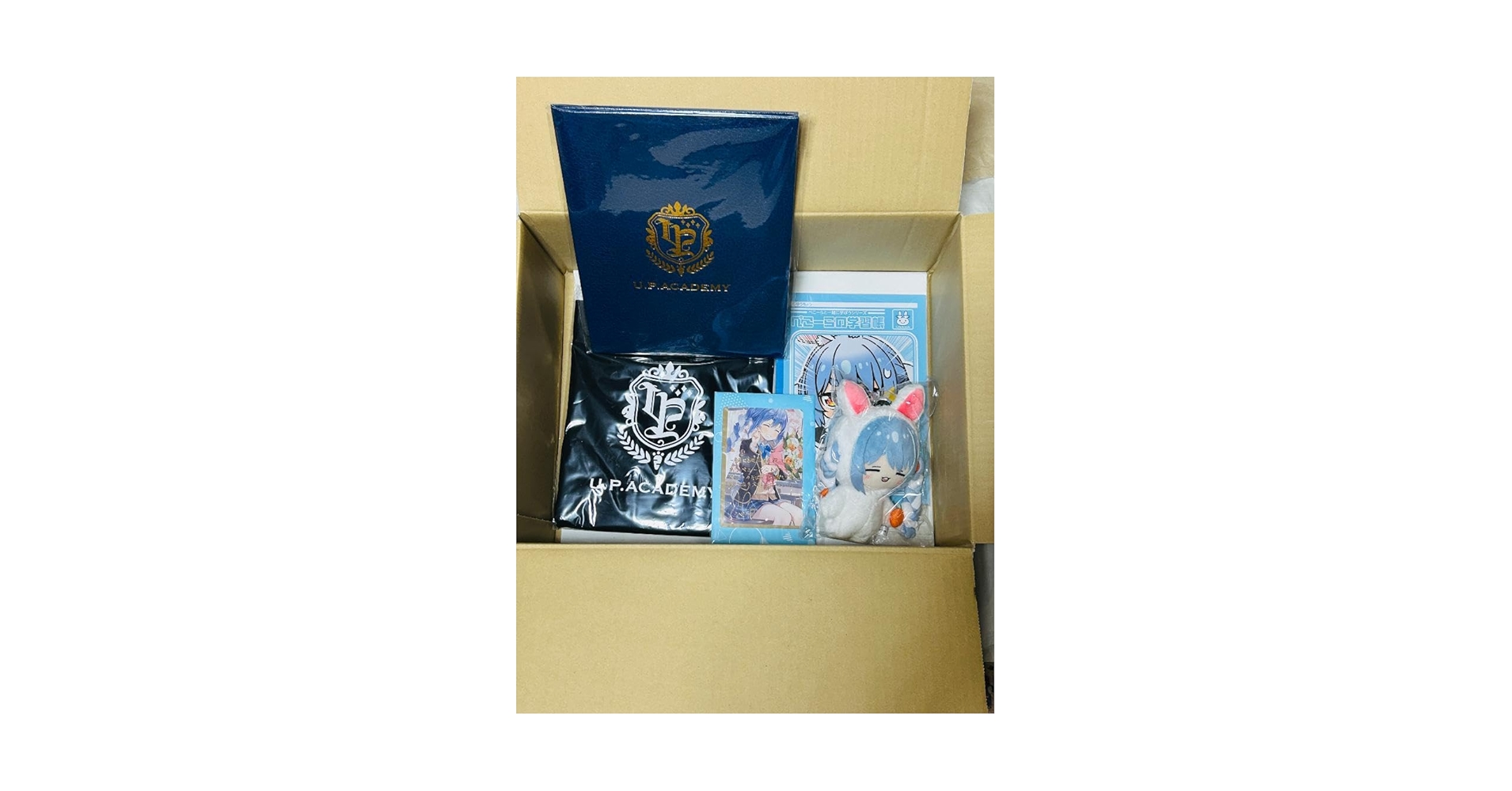 兎田ぺこら 誕生日記念2024 ＆ 活動5周年記念 グッズセット Amazon.co.jp: 兎田ぺこら 誕生日記念2024 フルセット 購入