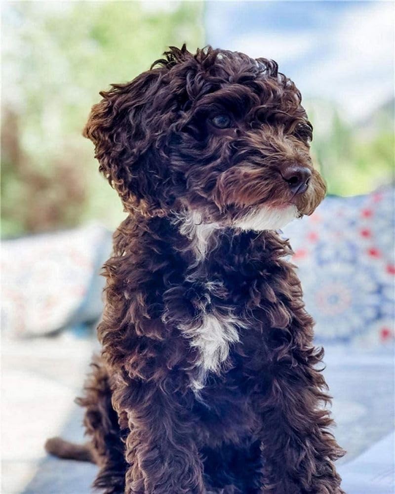 Wihgkin Stamped Cross Stitch Kits Dog Animal 11CT Advanced Pre-Printed Cross-Stitch Pattern Embroidery DIY Beginner Adults Kids Home Decoration （40x50cm）