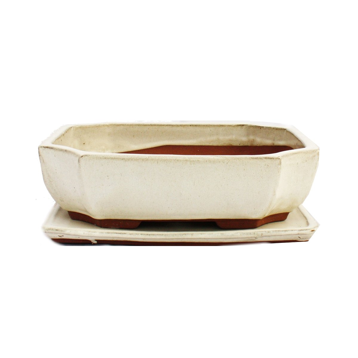 Bonsai Bol avec sous assiette Taille 5 – Beige clair – Carré – Modèle G117 – L 31 cm – B 24 cm – H 9 cm