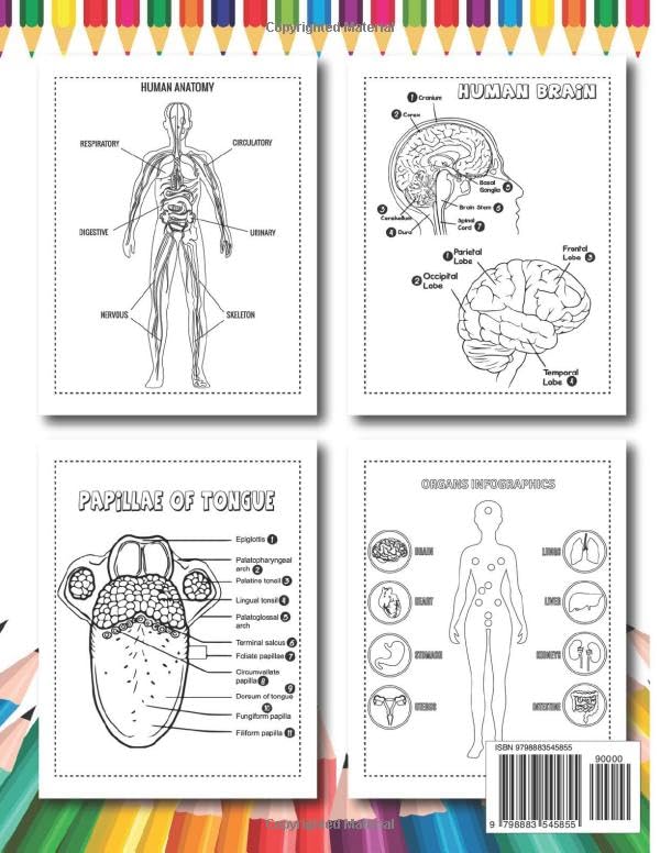 Human Anatomy Coloring Book: anatomy and physiology study tools, netters , anatomy for artists, radiology tech student essentials.......... - Image 2