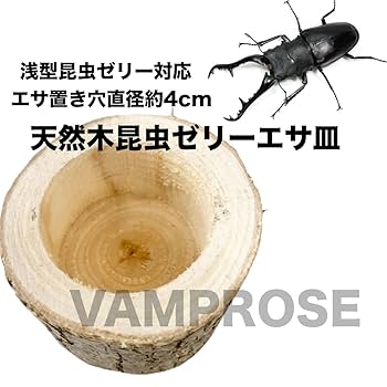 Amazon | カブトムシ・クワガタムシ 飼育セット （昆虫飼育