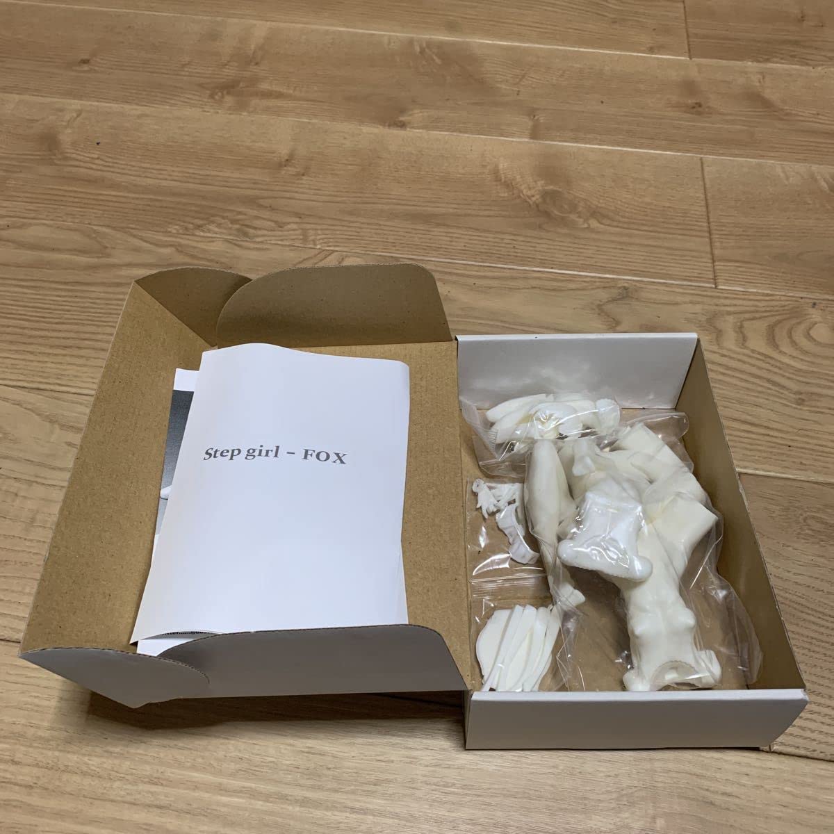 Amazon.co.jp: 産婦人科M Step girl-FOX ガレージキット パーツ