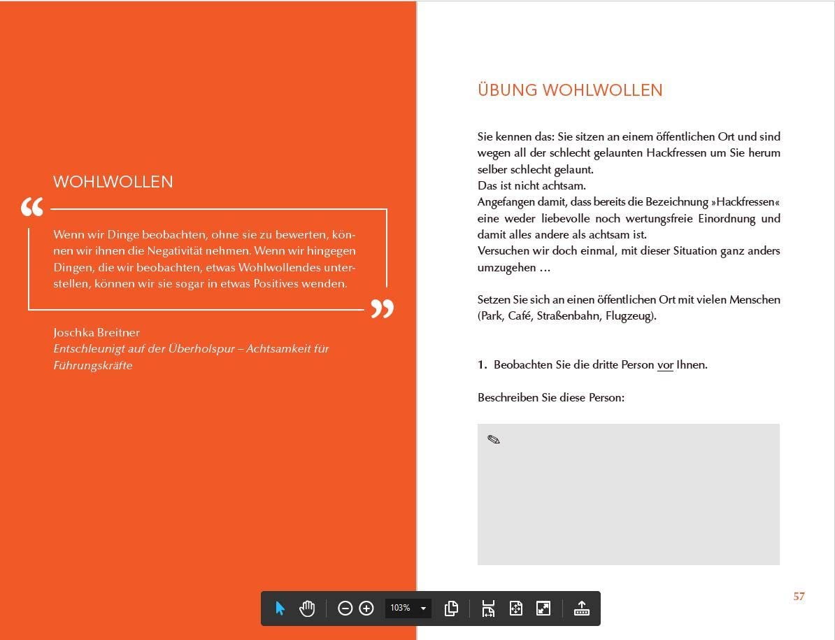 Achtsam morden - Das Übungsbuch nach der Joschka-Breitner-Methode
