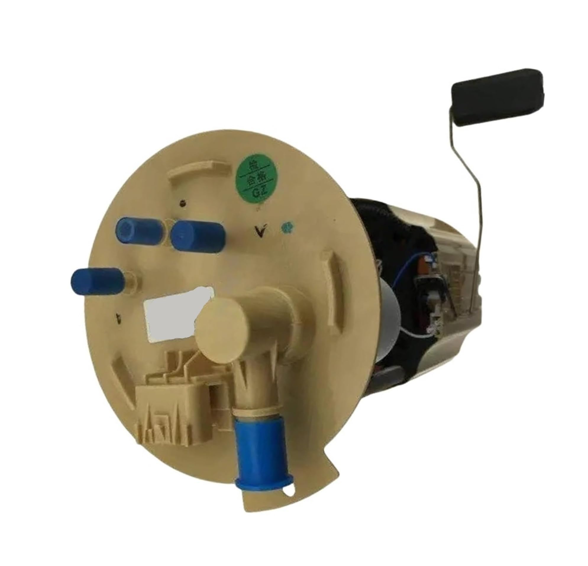Gruppo modulo 13582651 13516859 13592481 13592391