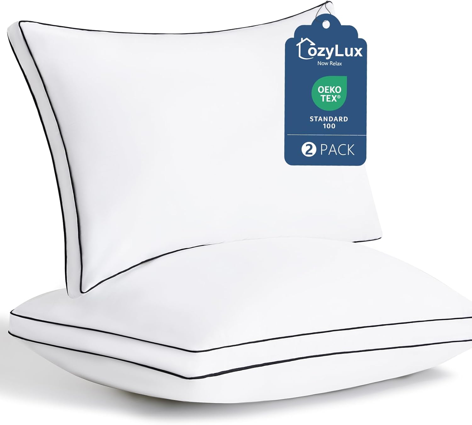 CozyLux Pillows Queen Size Set of 2, Soft and Supportive 3D Down Alternative Bed Pillow for Sleeping 2 Pack White, Luxury Hotel Quality Gusseted Bedding Pillow for Back, Stomach or Side Sleepers 18x28
