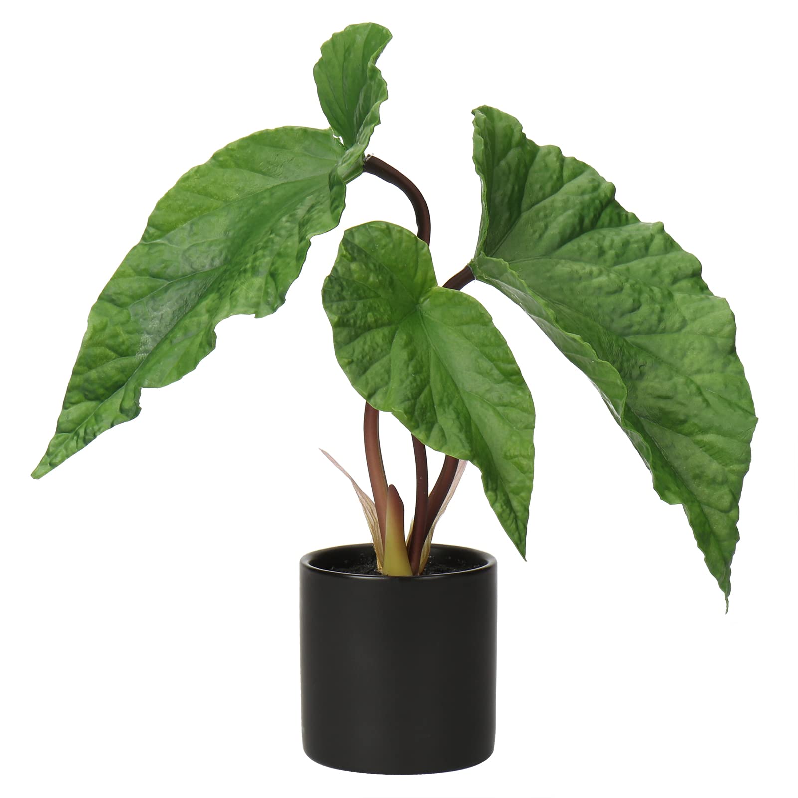 Hollyone Fake Plants Artificial Potted Plants Faux Small Plants Plastic Begonia Plants in Ceramic Pots for Office Desk Bathroom Bedroom Greenery Decoration Room Home Indoor Decor