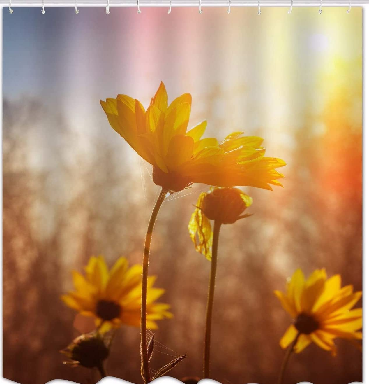 Spring Yellow Flowers At Sunrise Bright Sunbeams Garden Nature Scenery Print Waterproof Polyester Fabric Shower Curtain For Bathroom Decors 60x72 inch
