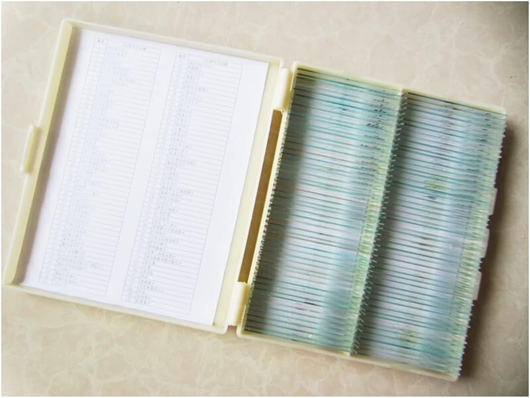 1532 外国切手 ドミニカ 1982 絵画美術切手6種+小型シート1種