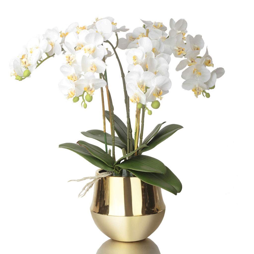 XDLEDMKIZ Artificial Flower In Pot Artificial Flowers Phalaenopsis Orchid Bonsai With Gold Vase,Fake Silk Flower For Office Home Centerpiece