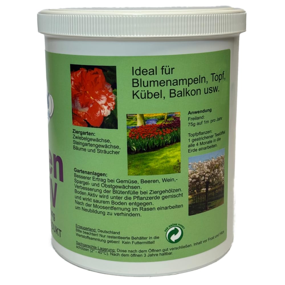golderdbeere düngen Waldsteinia ternata / Golderdbeere