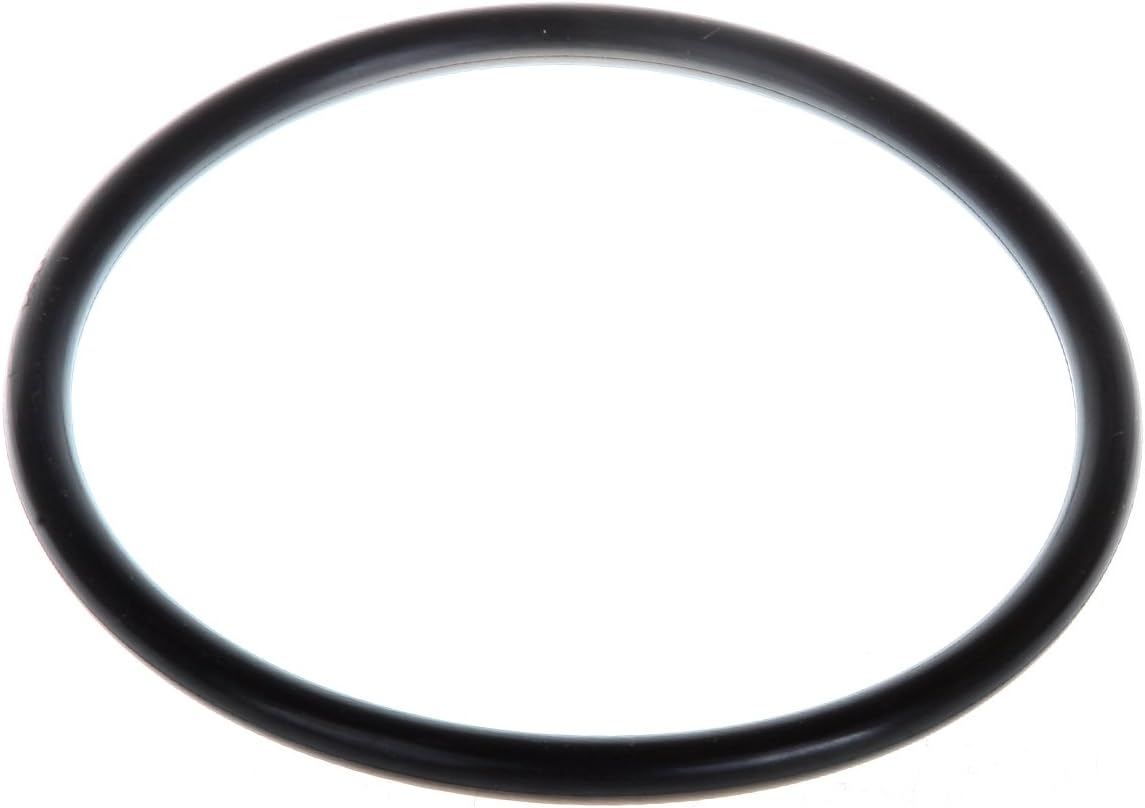 OCPTY fits for Fuel Pump Electric Replacement Module Assembly fits 1996-1998 for Buick Skylark for Chevy Cavalier L4 2.4L V6 3.1L E3919M