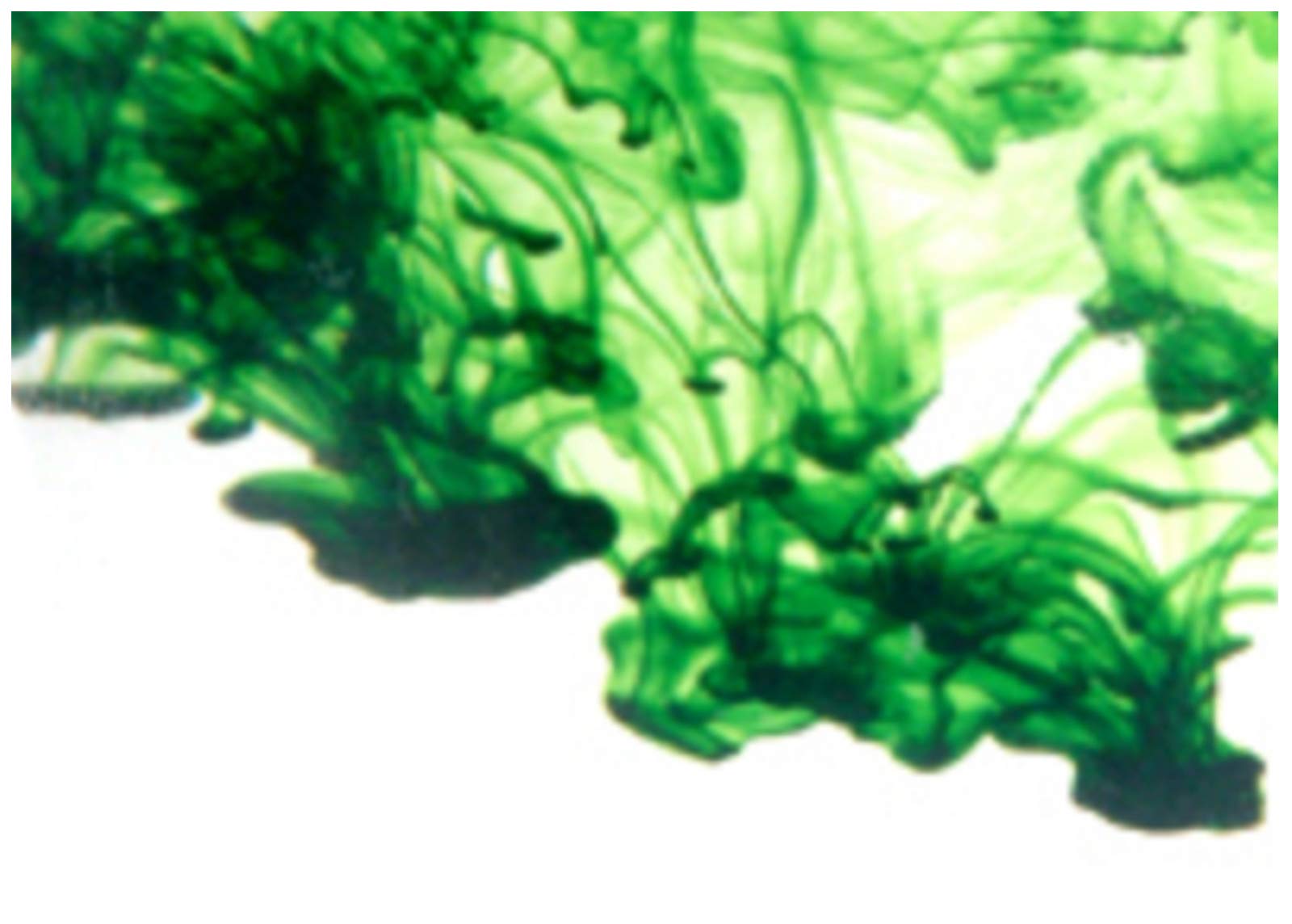 Mystic Moments | Emerald - Highly Concentrated Soap Dye 50ml | Perfect for Soap Making, Creams and Lotions