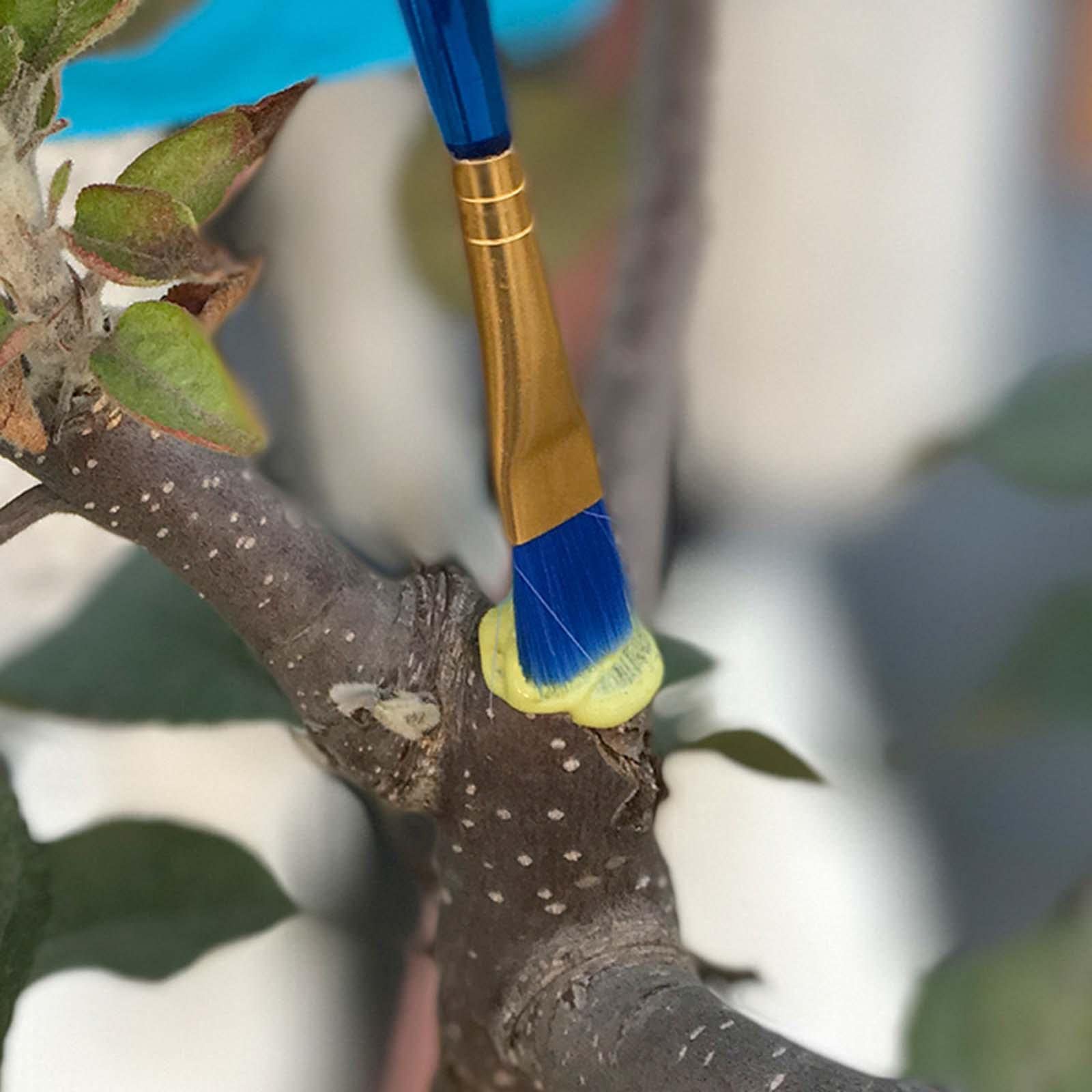 Tree Wound Sealer, Bonsai Cut Paste, Tree Wound Pruning Sealer, Plant Grafting Pruning Bonsai