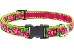 Petunias Lupine Dog Collar