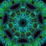 Clover