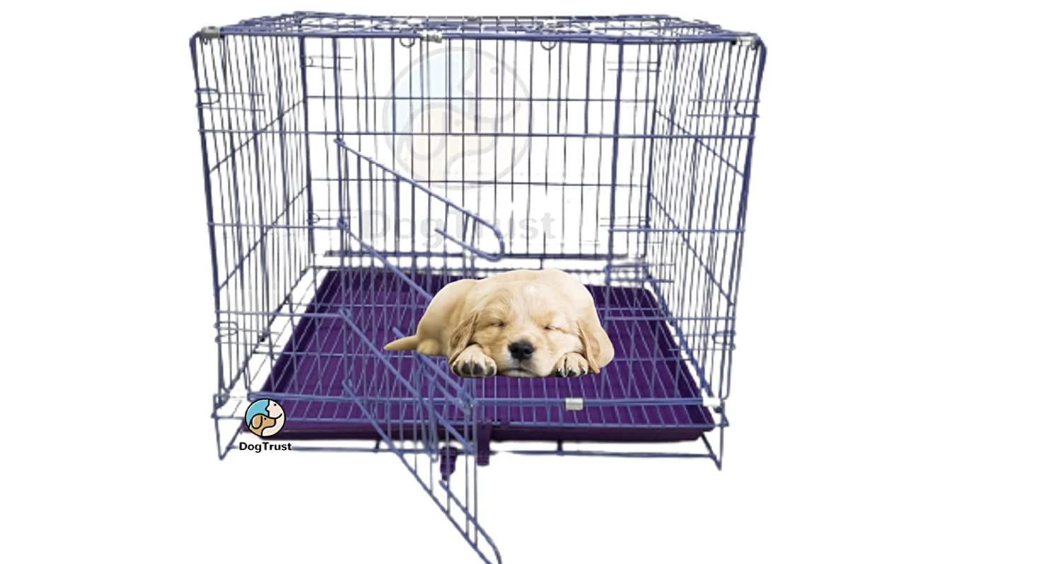 Dog Trust Dog Metal Crates Cage Kennel with Removable Tray Suitable for Large Adult Dog (Size 46 * 29 * 18) Colour- Purple (18Inch) 1