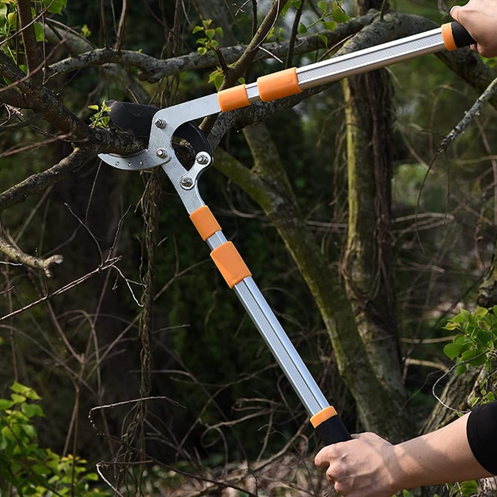 ARKEM Tijeras Para Podar áRboles, Podadora De Ramas Altas Para JardíN, Tijeras TelescóPicas Para Podar áRboles Con Mango Largo Para Uso DoméStico