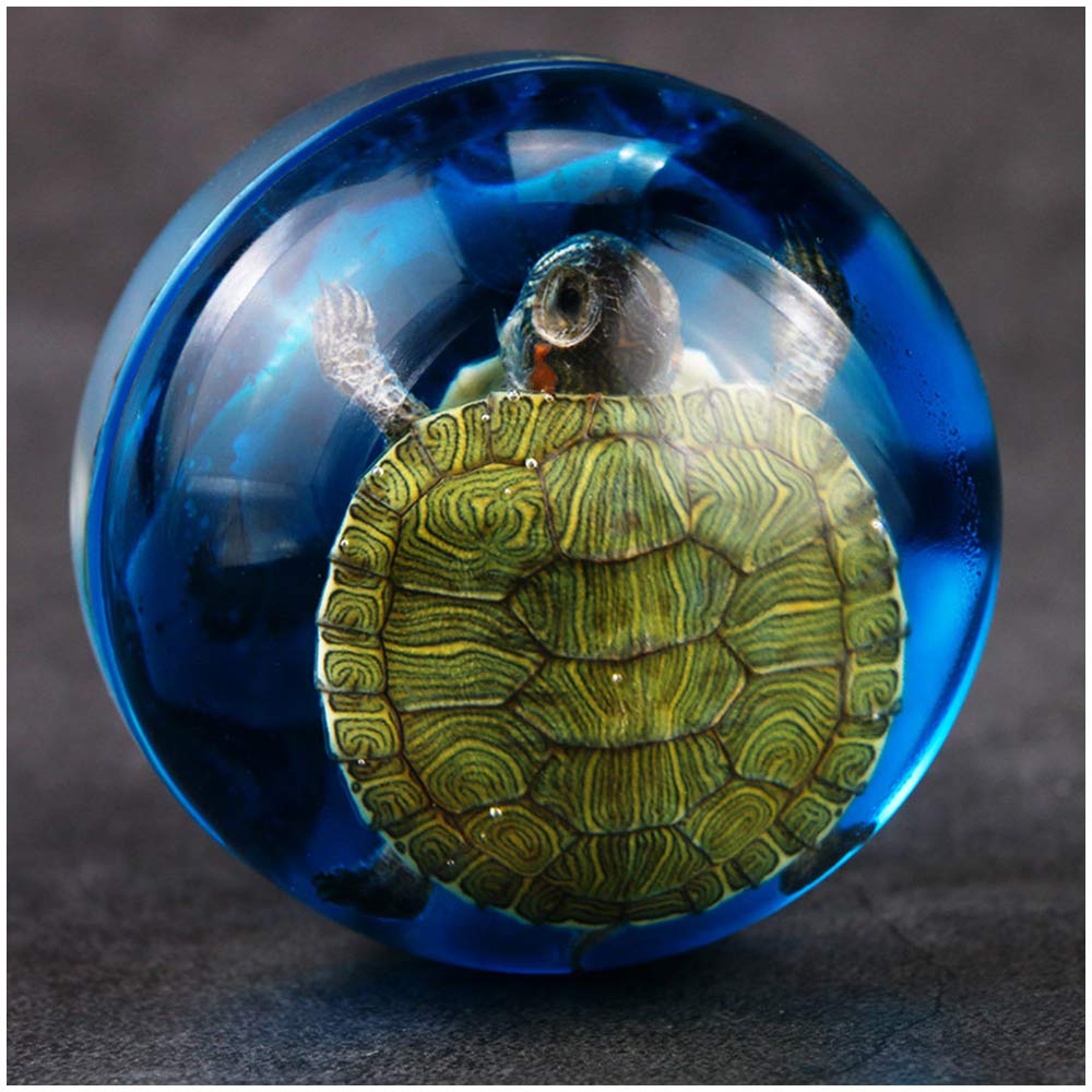 Sjdopulse A Tortoise Specimen - Resin Tortoise Specimen - Embedded Biological Specimens - For Children's Cognitive Education, Science Education, Biological Teaching Model (A)
