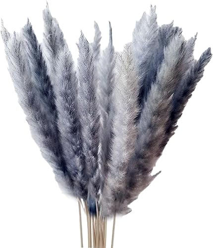 Ramo de hierba de pampa seca de 15 Uds. Hierba artificial de las pampas Hierba Natural de la Pampa Arreglo de flores para la decoración del hogar de disponible en Yaxa Mexico