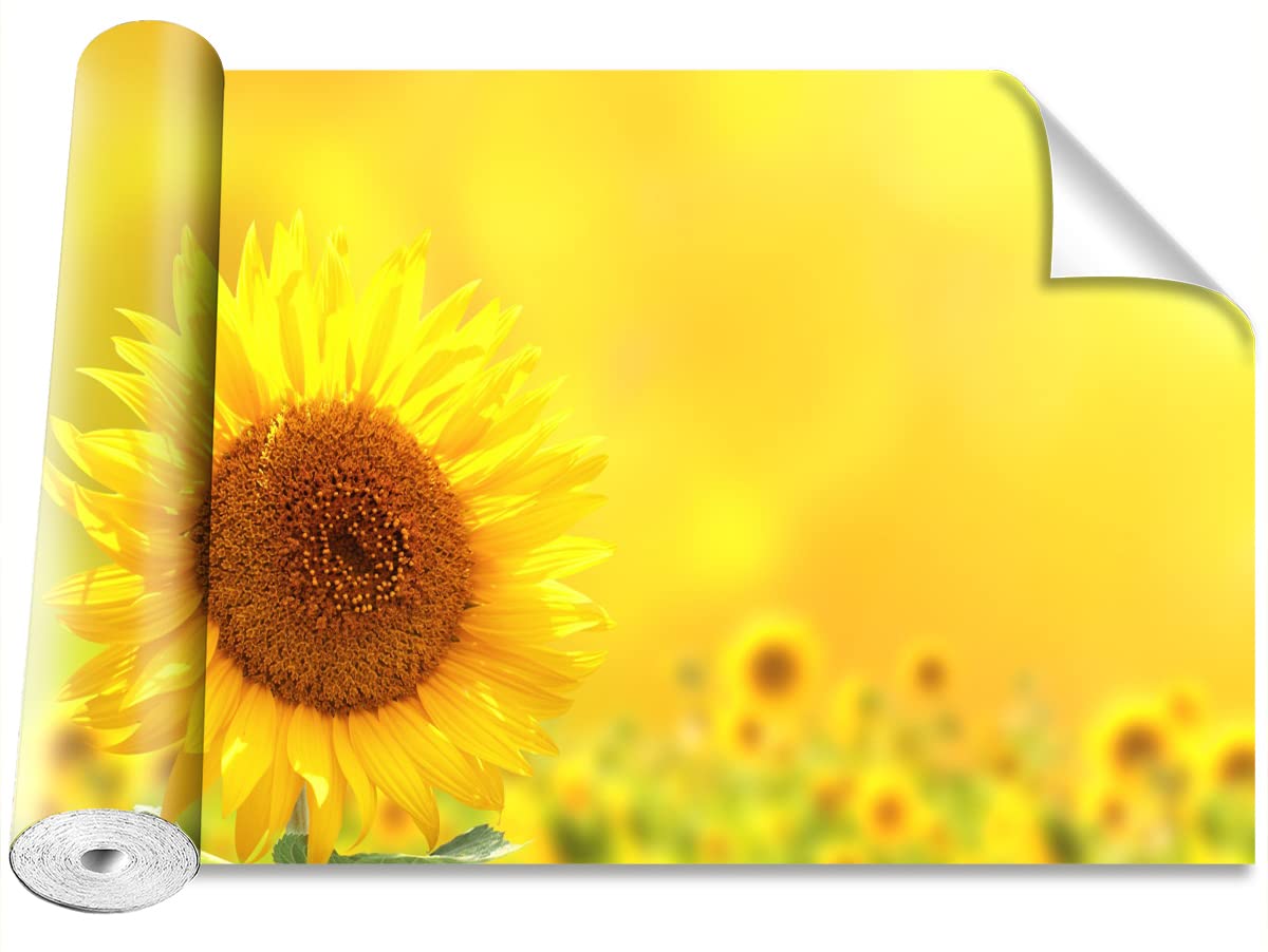 Papier peint de tournesols pour illuminer le salon avec un grand sticker mural
