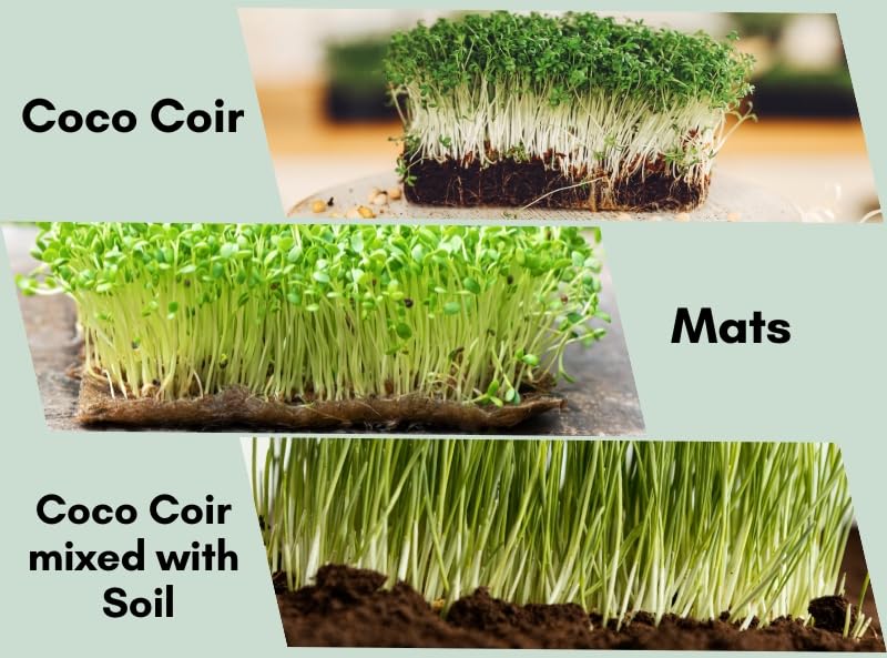Image of Coco Coir Micro Green Sheet 10 * 20 (Pack of 4)| Coconut Coir Hydroponic Grow Mat |Woven Coco Fiber Growing Pad for Microgreens & Wheatgrass