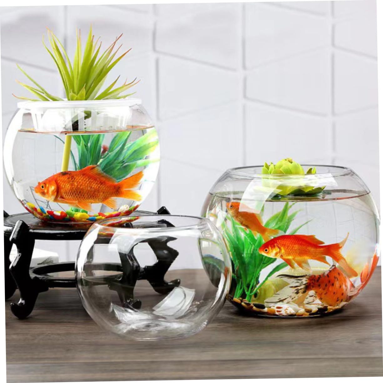 Acquario Rotondo Decorativo in Multifunzione Per Pesci Betta Per Ufficio Casa Moderno Design Salvaspazio
