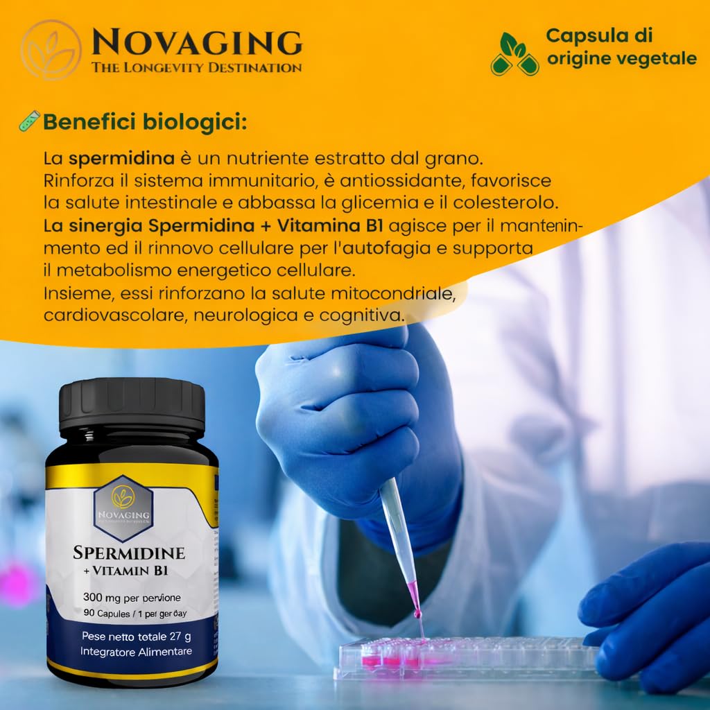Spermidina 6 mg + Vitamina B1, 90 Capsule, Anti-Invecchiamento, Antiossidante, Fornitura per 3 Mesi, 100% Vegano, Massima Biodisponibilità, Dosaggio Preciso, Testato senza OGM e Allergeni