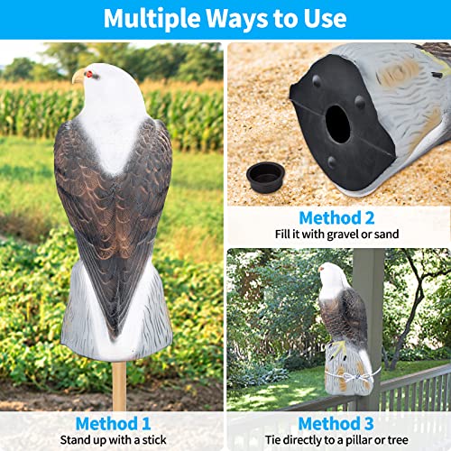Owl Decoys To Scare Birds Squirrels Away,2023 Upgraded Fake Bald Eagle Decoy,Garden Owl Decoy To Scare Birds Away Deterrent,Eagle Bird Deterrent Devices Outdoor,Moving Owls For Garden Yard Protection #TOP4