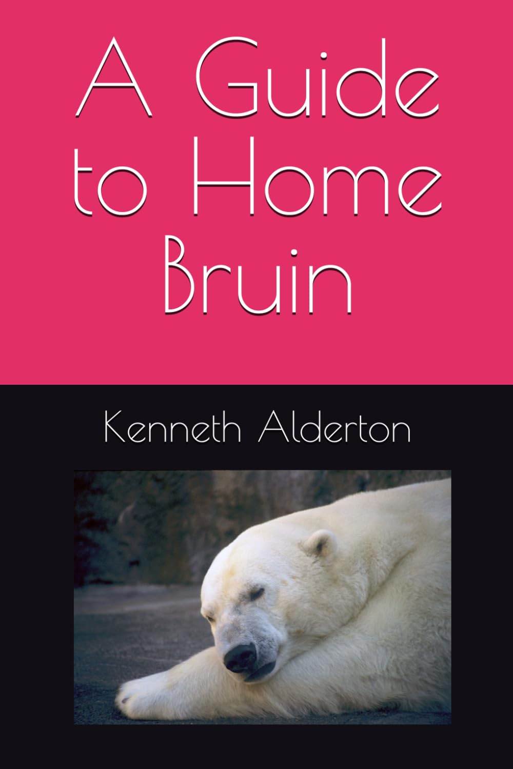 A Guide to Home Bruin