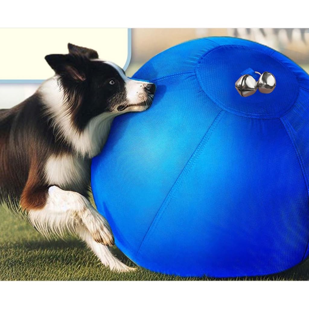 Jouet interactif pour chien - Balle rebondissante pour les races actives et les jeux de plein air